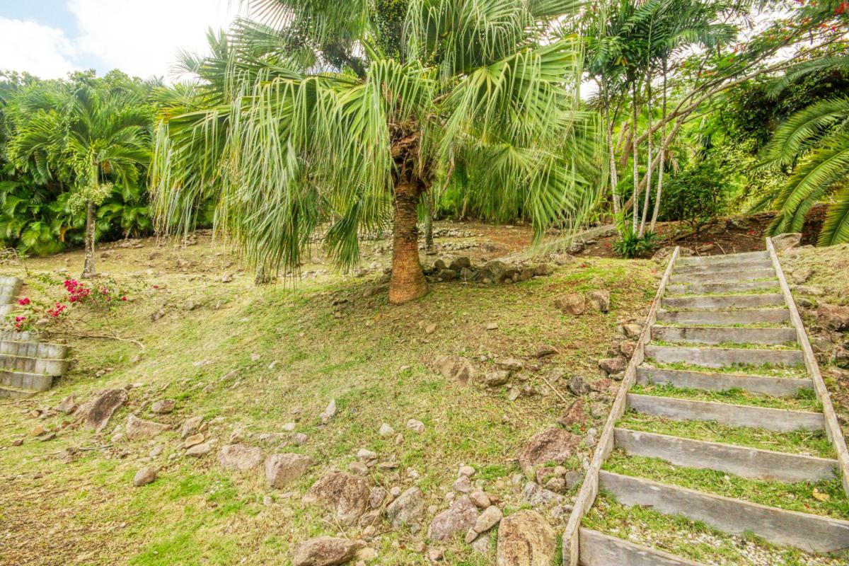 38Location villa piscine le diamant martinique_ jardin escalier